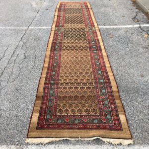 R67: Antique Serab Runner with Rare Tan Field 3'4" x 15'7"